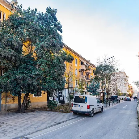 Meduza By ティラナ